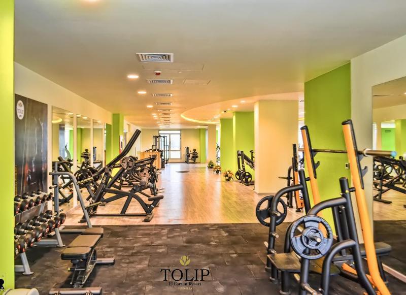Tolip El Forsan Hotel Исмаилия Экстерьер фото The gym at Tulip Inn